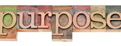 How Purpose Drives Sustainable Innovation in Leading Companies